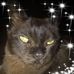 Jayne Huggins - Facebook