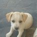 Jayne Hunt - Facebook