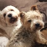 Jayne Hunt - @jayne.hunt1234 - Instagram