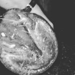 Musings on the Hoof - @jayne.hunt.10 - Instagram