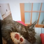Jayne Johnson - @jayne.johnson.92167 - Instagram