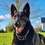 Jayne Lisbeth Johnsen - @jaynejohnsen - Instagram