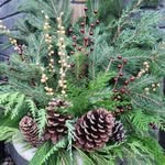 JayneJohn Bockman - @jaynejohnbockman - Instagram