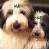 jaynejoyce78 - @jaynejoyce78 - TikTok