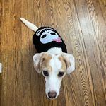 Jane Keating - @_extraordinarymachine - Instagram
