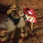 Jane Kirkpatrick - @daphne.ozzie - Instagram