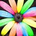 Jayne Kirkpatrick - Facebook