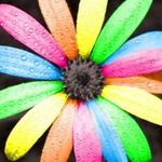 Jayne Kirkpatrick - @jayne.kirkpatrick.52 - Instagram