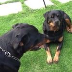 Jayne Knight - @jayneknight1950 - Instagram