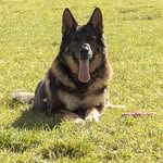 Jayne Knight - @jayneknight47 - Instagram