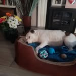 Jayne Knight - @jayne.knight.560 - Instagram