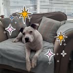 Jayne Knight - Facebook