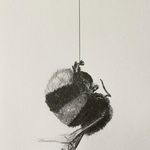 Jane Køhler - @tiljane - Instagram