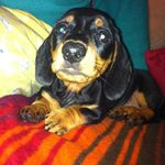 Jane Kohler - @kohler1106 - Instagram