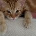 Jayne Morris Kohler - Facebook