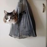 Jayne Kramer - @yarnsniffer - Instagram