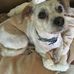 Jayne Larson - Facebook