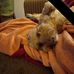 Jayne Leslie - Facebook
