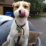 Jayne Lucas - @jayne.lucas.737 - Instagram