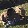 Jane Mackay - @jane.mackay4 - TikTok