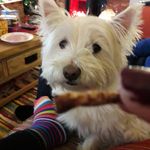 Jayne mackay - @mackay.jayne - Instagram