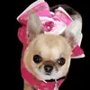 Jayne Malone - @jayne.malone - TikTok