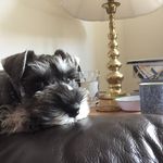 Jayne Mann - @jaynemann2018 - Instagram