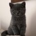 Jayne Mason - Facebook