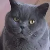Jayne McCann - @jayne.mccann5 - TikTok
