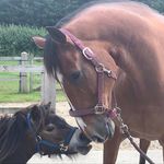 Jayne McDonald - @jayne.mcdonald.98 - Instagram