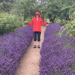 Jayne McDonald - @jaynemcdonald9789 - Instagram