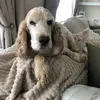 Jayne McDonald - @jayne.mcdonald8 - TikTok