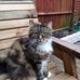 Jane Mckay - Facebook