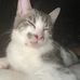 Jayne Mckay - Facebook