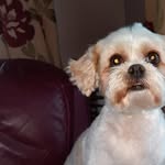 Jayne Mckee - @jayne.mckee.14 - Instagram