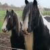 Jayne Mckee - Facebook