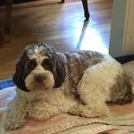 Jane Merrill - @lisasv24122004 - Instagram