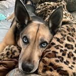 Jayne - @jaynemeyer - Instagram