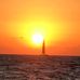 Jayne Meyer - Facebook
