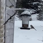 Jane Morrell - @morrell.jane - Instagram