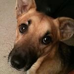 Jayne Nash - @jaynenash67 - Instagram