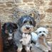 Jane Oakley - Facebook
