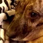 Jane Painter - @jane.painter.925 - Instagram