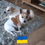 Jayne Painter - Facebook