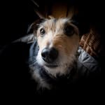 Jayne painter - @jayne.painter319 - Instagram