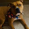 Jane Parsons - @jane.parsons - TikTok