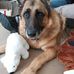 Jayne Parsons - Facebook