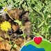 Jayne Peck - Facebook