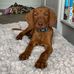 Jayne Perry - Facebook