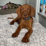 Jayne Perry - @jaynepont - Instagram